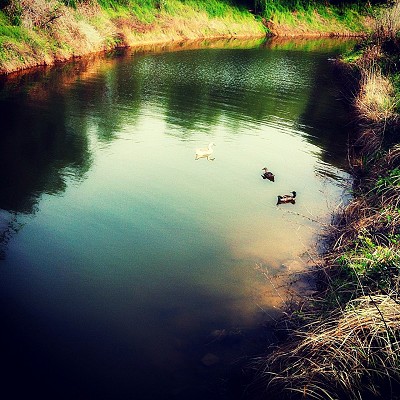 IMG_8218��ͼ - ����.JPG