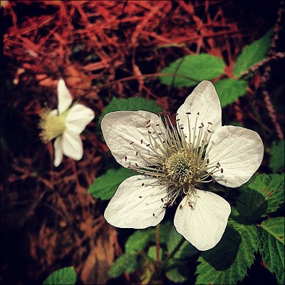 IMG_8224��ͼ - ����.JPG