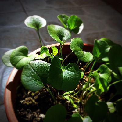 IMG_8725��ͼ - ����.JPG