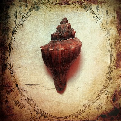 IMG_9329��ͼ - ����.JPG