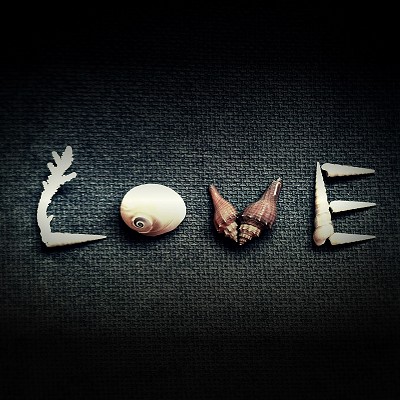 IMG_9335��ͼ - ����.JPG