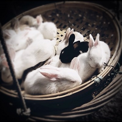 IMG_9658��ͼ - ����.JPG