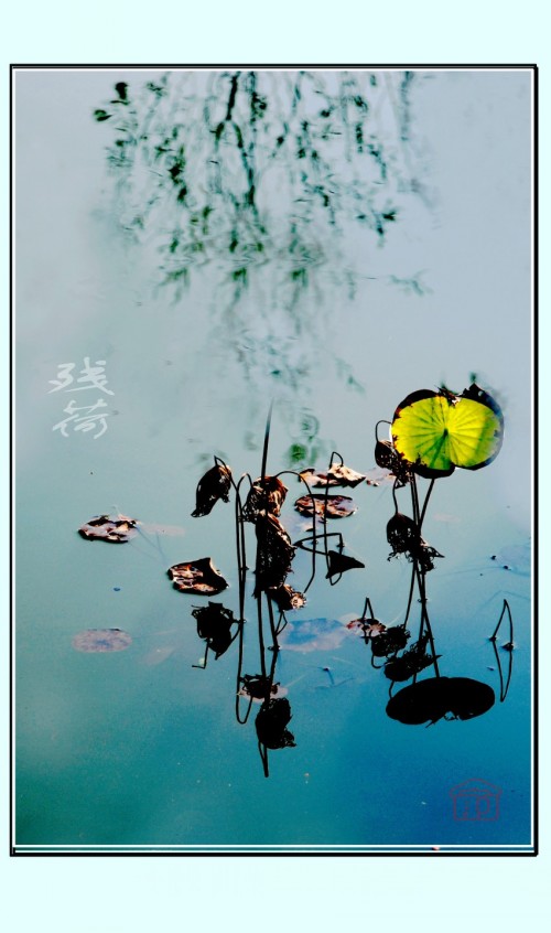 �к������ʯ��԰