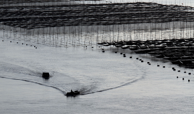 IMG_7813 ����.jpg