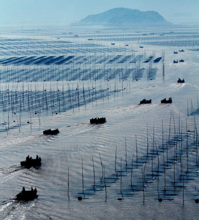 IMG_7895 ����.jpg