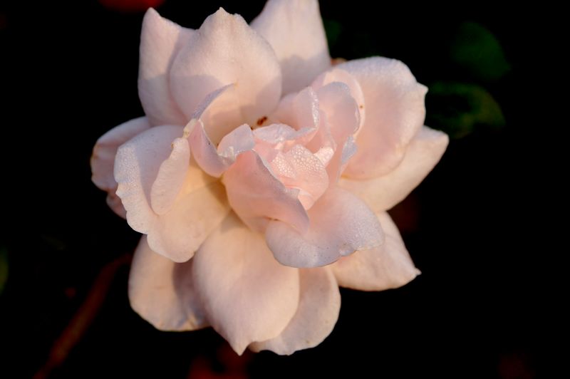 DSC07861 - ���� (2).JPG