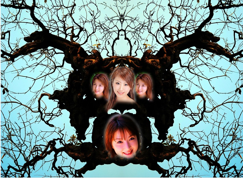 С����(��������)