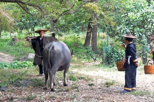 ���� ��Ƭ 655 ����.jpg