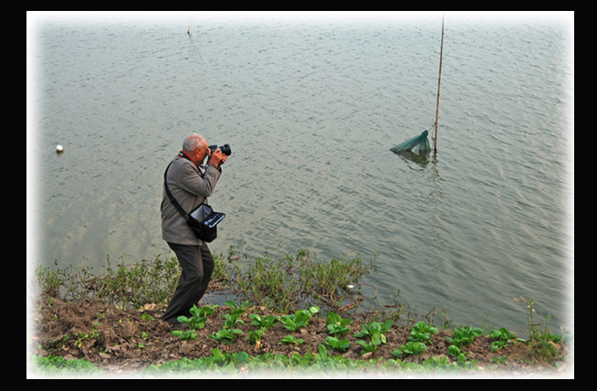 ��Ѯ���˰���Ӱ