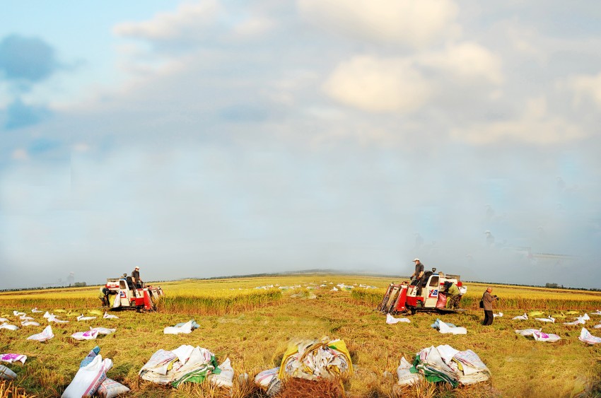 000 (2) ykx003_ȫ��ͼ1_conew1.jpg