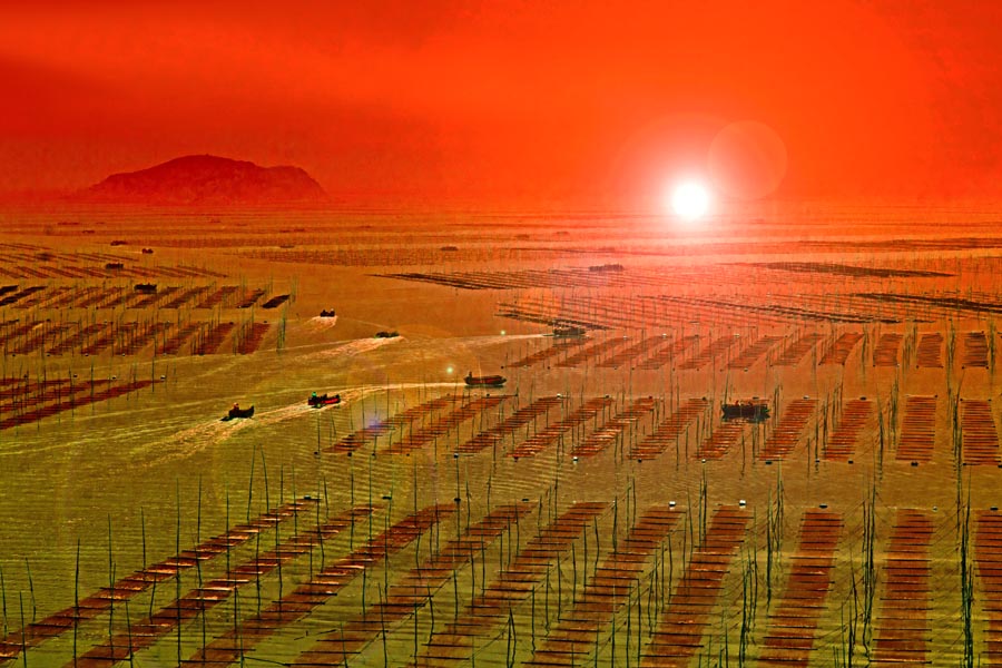 ����ϼ�� (2).jpg