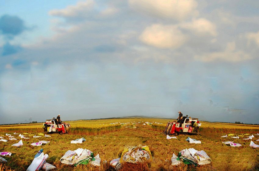 000 (2) ykx003_ȫ��ͼ1_conew3.jpg