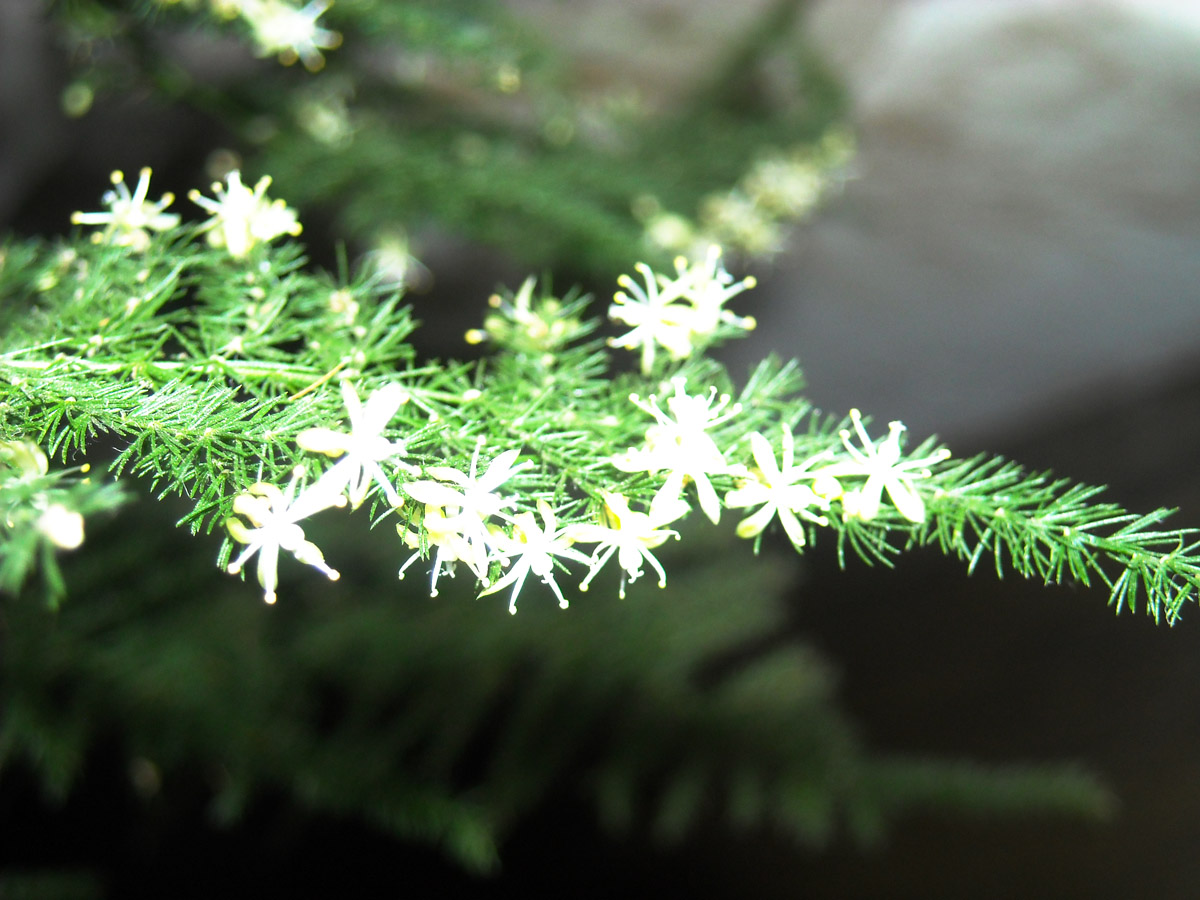 ���� DSCN0812.JPG