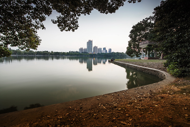 �����ĺ���