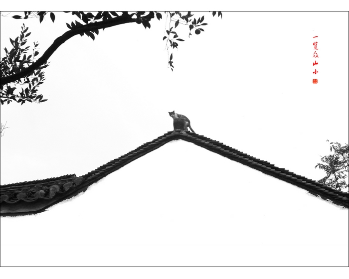 ��ع�� (3).jpg