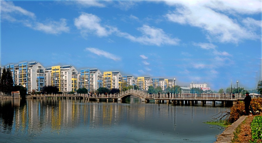 �ſ�����