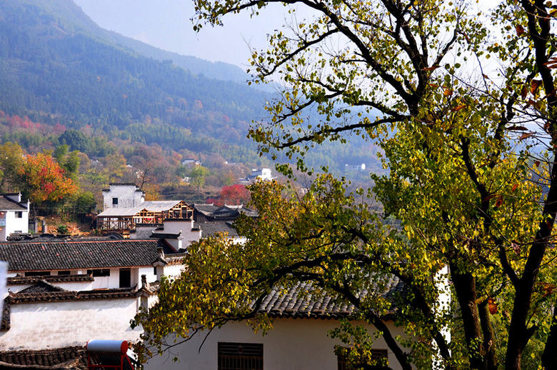 ������ɫ��