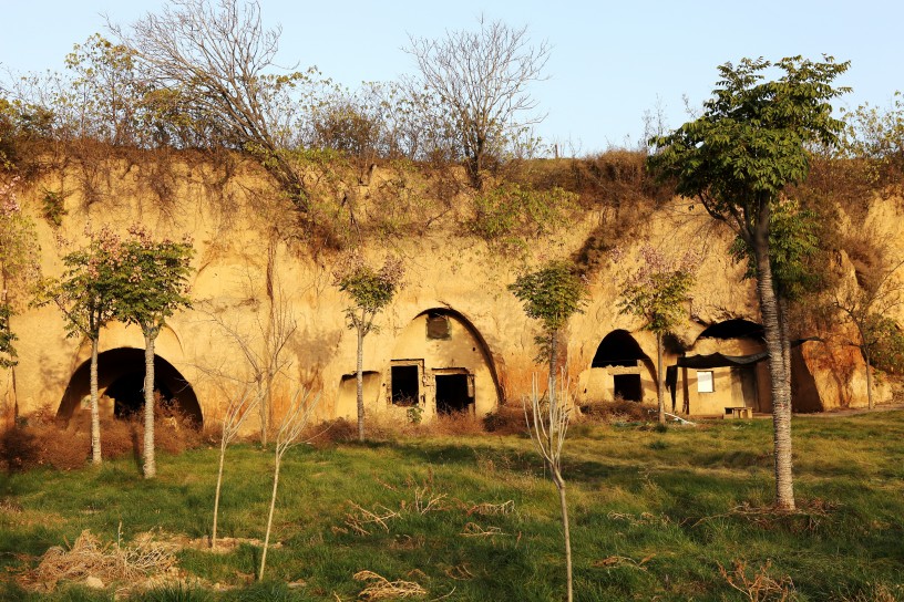 ������������