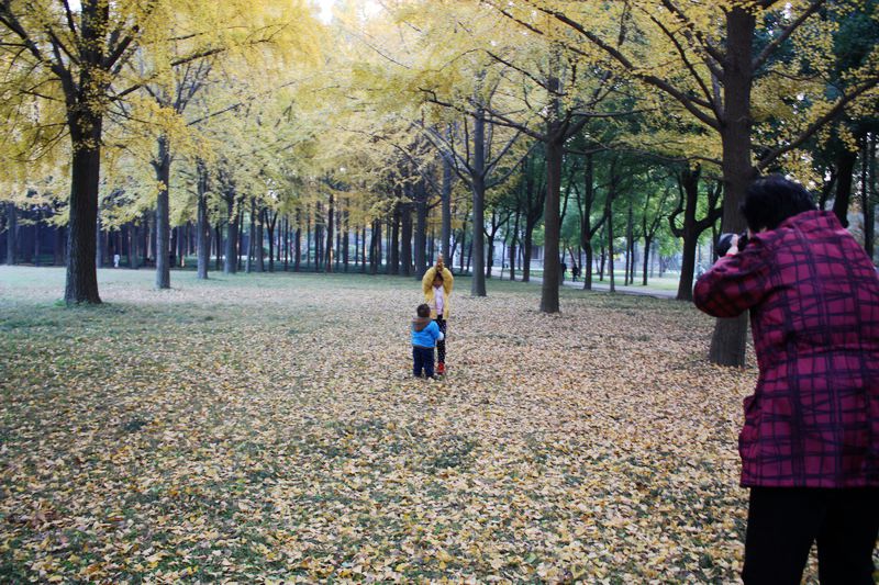 ����Ҷ 031.jpg