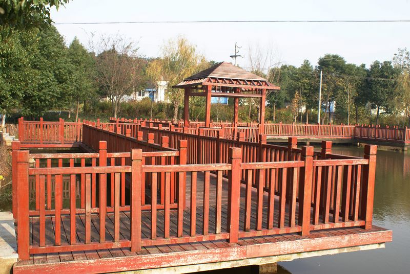 DSC01681 - ����.JPG