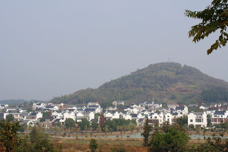 DSC01699 - ����.JPG