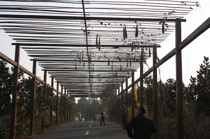 ����2012.11.24 060.jpg