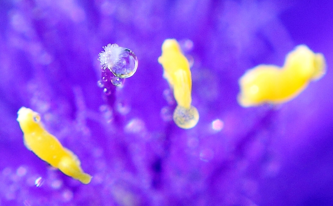 IMG_8190 ����.jpg