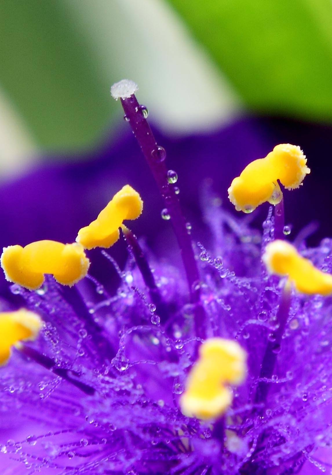 IMG_8260 ����.jpg