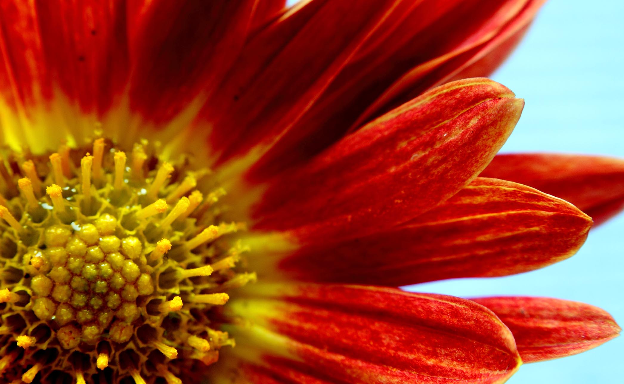 IMG_8266 ����.jpg