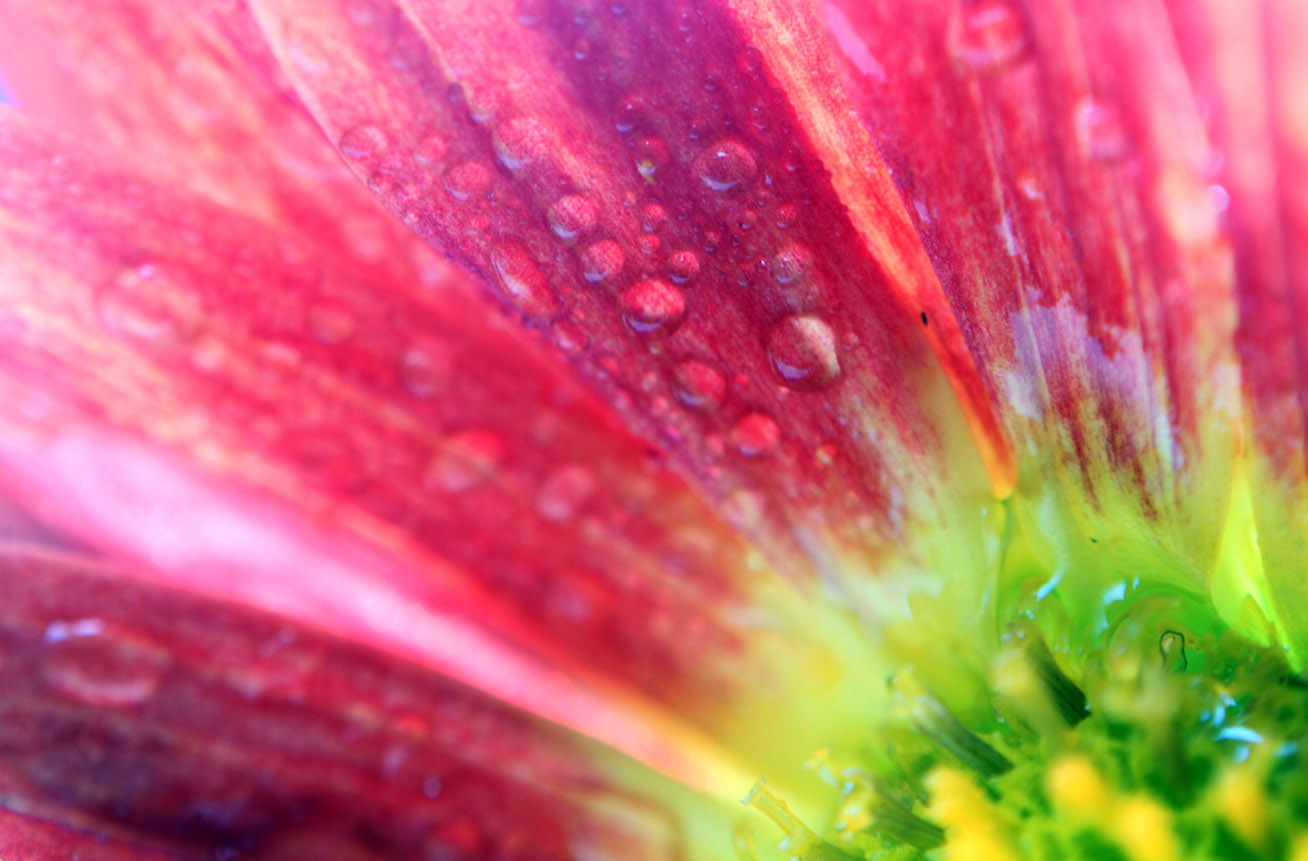 IMG_8274 ����.jpg