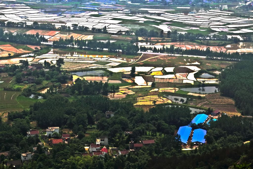 ��԰���IMG_9873 .jpg