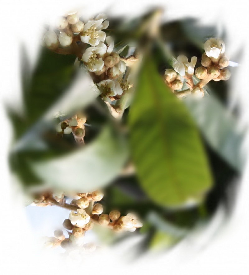 ����2012.11.24 210_conew2.jpg