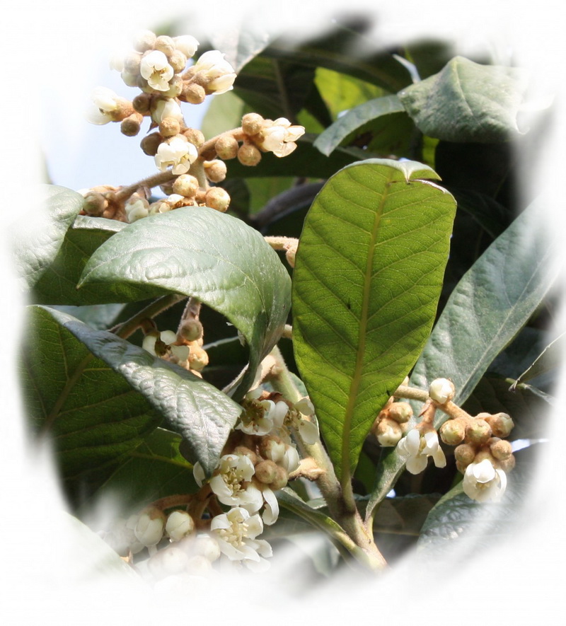 ����2012.11.24 210_conew3.jpg