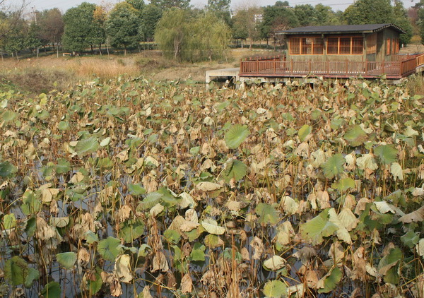 ����2012.11.24 151_conew1.jpg