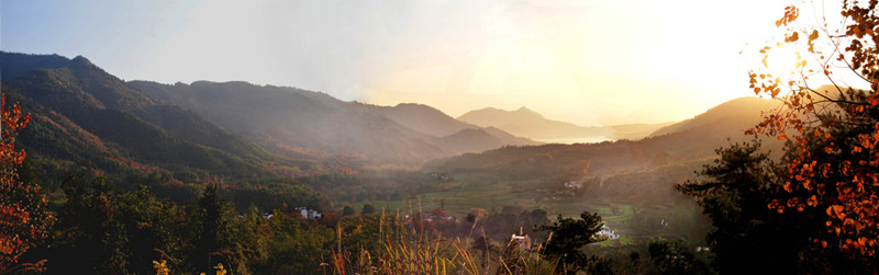 ���� ��Ҷƴͼ_����.jpg