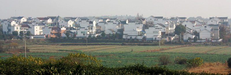 ����2012.11.24 091_conew1.jpg