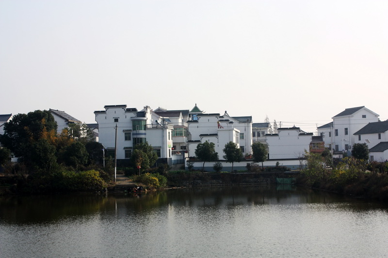 ����2012.11.24 113_conew1.jpg