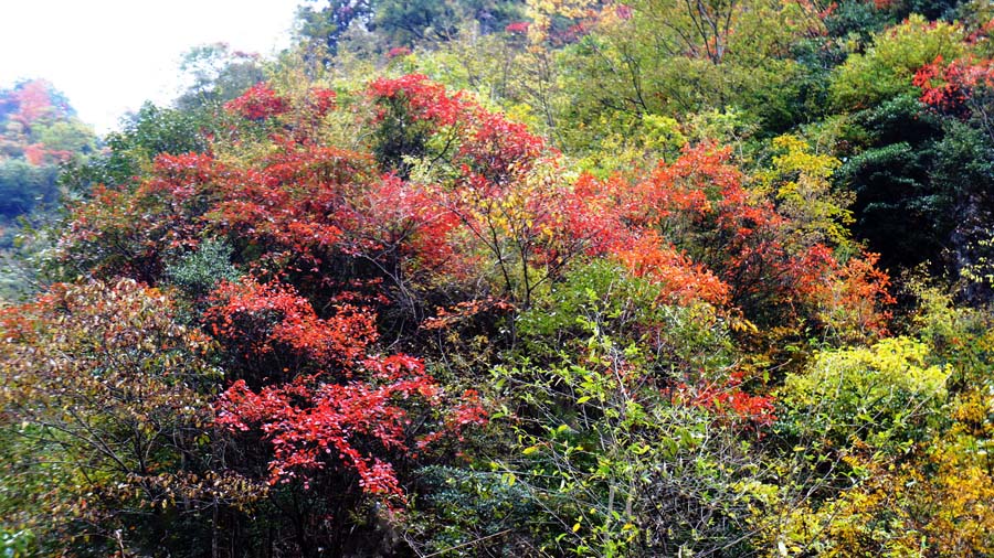 ���� DSC02725.JPG