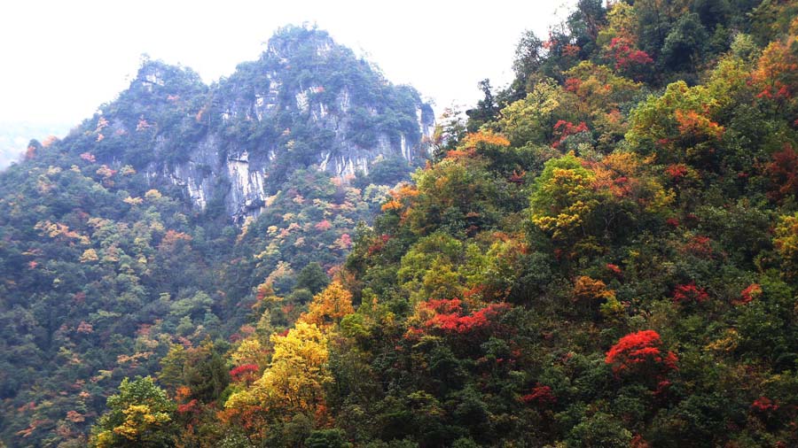 ���� DSC02756.JPG