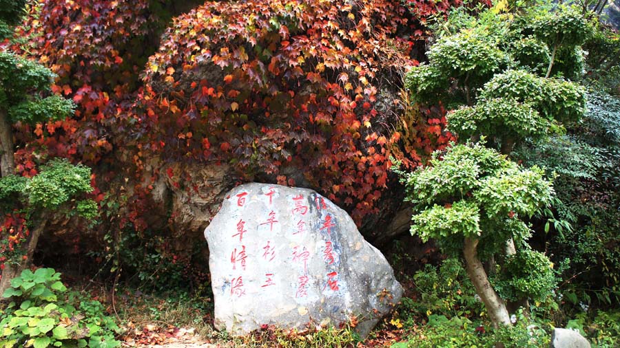 ���� DSC02768.JPG