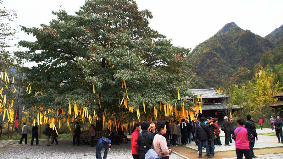 ���� DSC02779.JPG