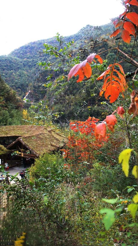 ���� DSC02720.JPG