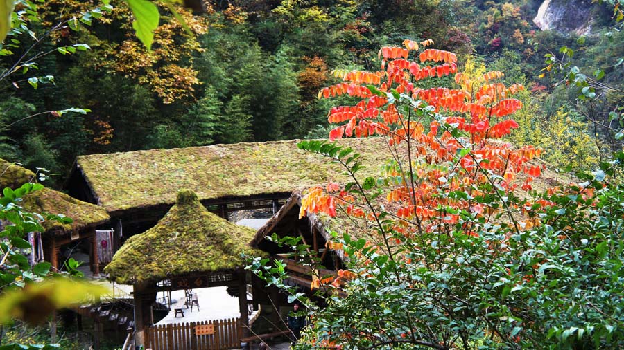 ���� DSC02721.JPG