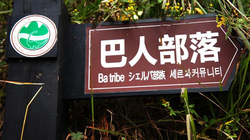 ���˲���