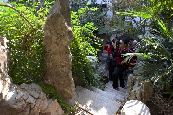 D08C859900���� (51).JPG