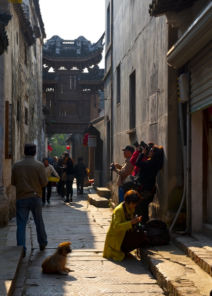 D08C859900���� (58).JPG