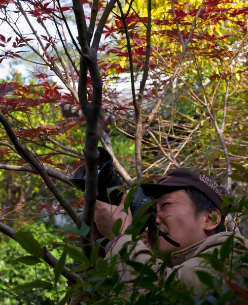 D08C859900���� (63).JPG