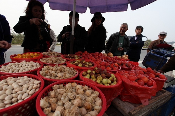 D08C859900���� (75).JPG