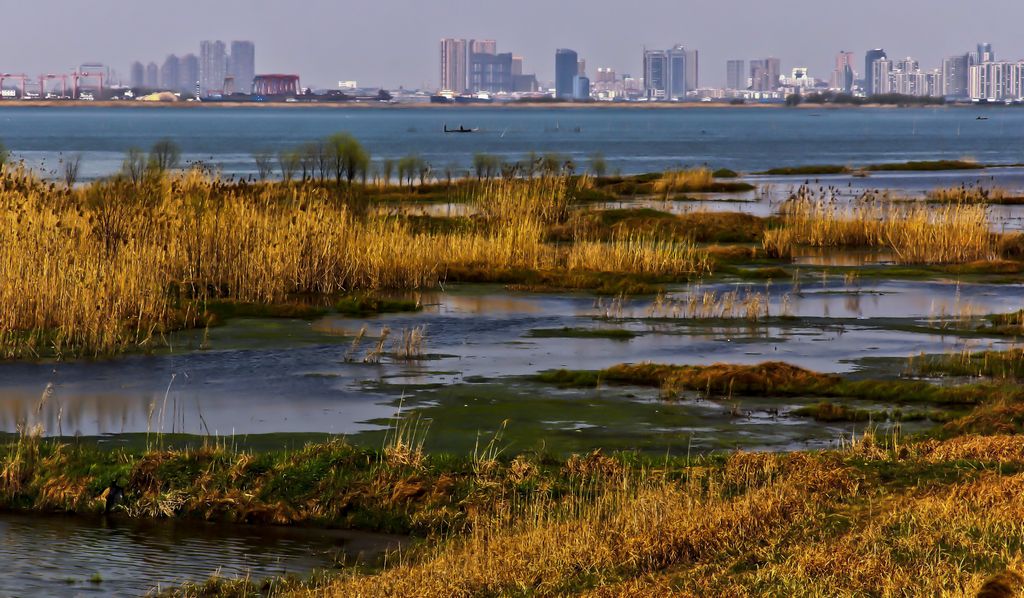 ���Ѻ�ʪ��