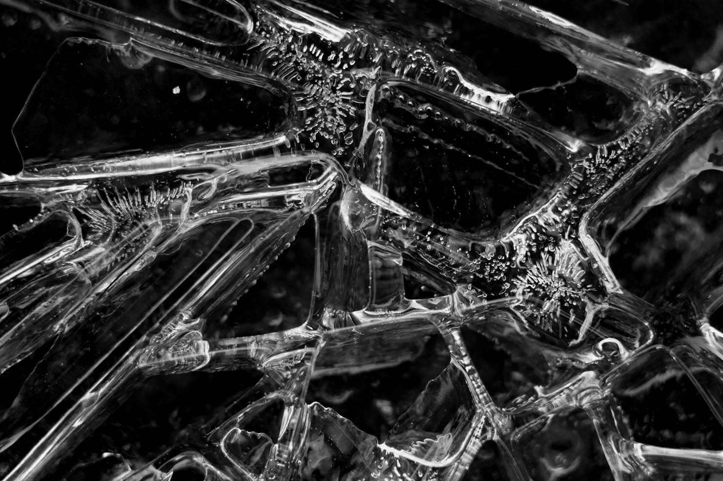 IMG_8574 ����.jpg